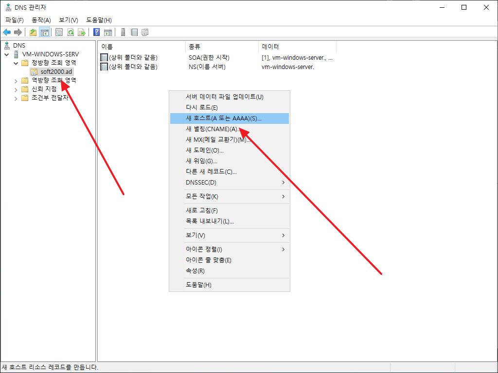 윈도우 서버 2019 | DNS 서버 역할 설치 및 설정하는 방법 – ㈜소프트이천